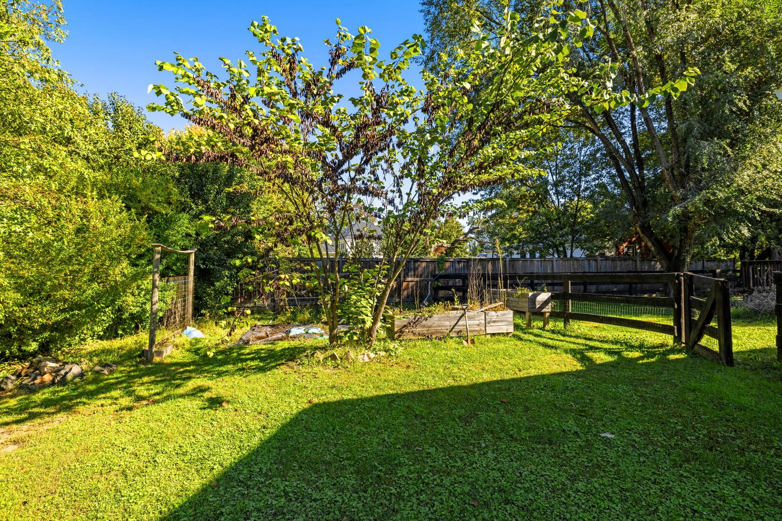 Back yard with a lawn, a garden area, mature trees and wood fencing.