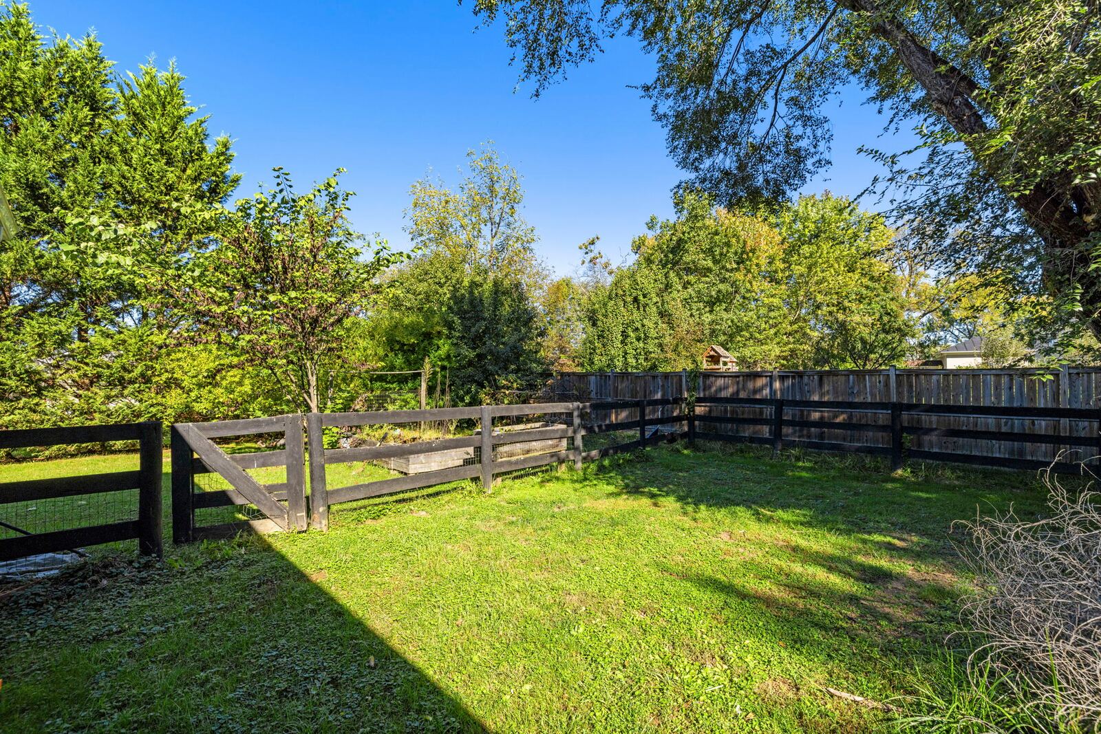 Fenced back yard with a green lawn and a line of trees along the wood fence.